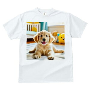 S[fgo[ TVc fB[X t@  t  vg JWA 킢 lԗp h ̃fUC ʔ xr[xbh S[fgo[ 