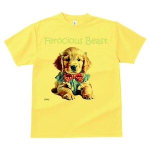 S[fgo[ TVc fB[X t@  t  vg JWA 킢 lԗp h ̃fUC ʔ lN^C S[fgo[ Vc