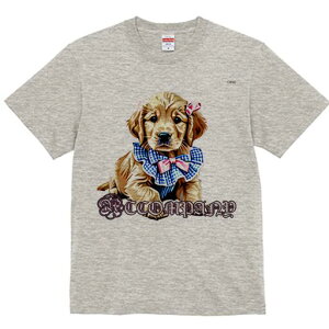 S[fgo[ TVc fB[X t@  t  vg JWA 킢 lԗp h ̃fUC ʔ { S[fgo[ 