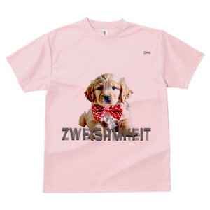 S[fgo[ TVc fB[X t@  t  vg JWA 킢 lԗp h ̃fUC ʔ  S[fgo[ ԂlN^C