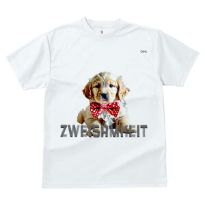 S[fgo[ TVc fB[X t@  t  vg JWA 킢 lԗp h ̃fUC ʔ  S[fgo[ ԂlN^C