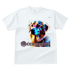 S[fgo[ TVc Y LbY t@  t  vg JWA 킢 lԗp h ̃fUC ʔ Kl S[fgo[