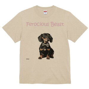 _bNXth TVc fB[X t@  t  vg JWA 킢 lԗp h ̃fUC ʔ lN^C _bNXth ዾ