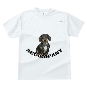 _bNXth TVc fB[X t@  t  vg JWA 킢 lԗp h ̃fUC ʔ lN^C _bNXth ^LV[h