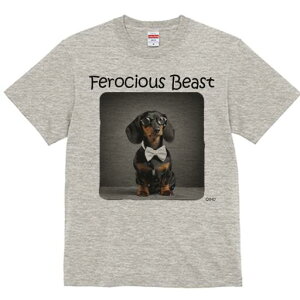 _bNXtg TVc fB[X t@  t  vg JWA 킢 lԗp h ̃fUC ʔ lN^C _bNXtg ዾ