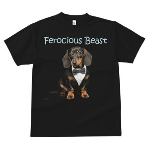 _bNXth TVc fB[X t@  t  vg JWA 킢 lԗp h ̃fUC ʔ lN^C _bNXth ^LV[h