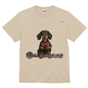 _bNXth TVc fB[X t@  t  vg JWA 킢 lԗp h ̃fUC ʔ lN^C _bNXth