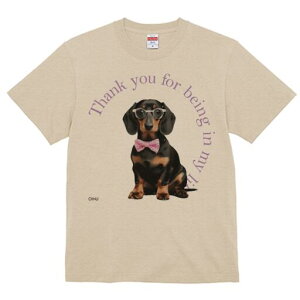 _bNXth TVc fB[X t@  t  vg JWA 킢 lԗp h ̃fUC ʔ Kl _bNXth lN^C