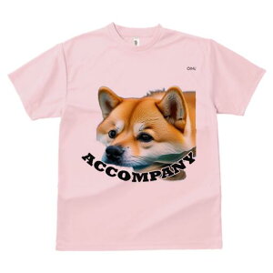 Č TVc fB[X t@  t  vg JWA 킢 lԗp h ̃fUC ʔ Č