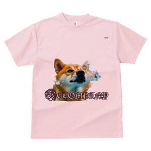 Č TVc fB[X t@  t  vg JWA 킢 lԗp h ̃fUC ʔ Ԃ Č