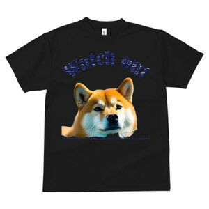 Č TVc fB[X t@  t  vg JWA 킢 lԗp h ̃fUC ʔ TVc Č