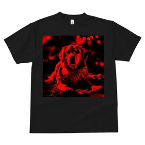 S[fgo[ TVc fB[X t@  t  vg JWA 킢 lԗp h ̃fUC ʔ NX}X S[fgo[ ~ Z[^[ 