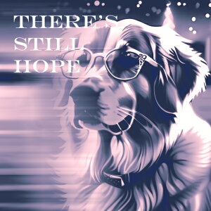 Kl o[j[Y}EehbO NbVJo[ 45×45cm Aj}   NbV{̕t ` t@