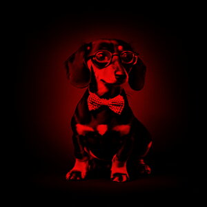 lN^C _bNXtg ዾ NbVJo[ 45×45cm Aj}   NbV{̕t ` t@