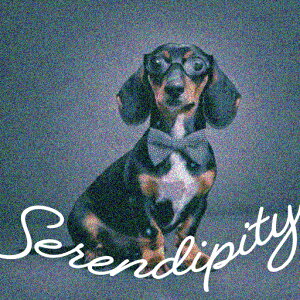 lN^C _bNXth ዾ NbVJo[ 45×45cm Aj}   NbV{̕t ` t@