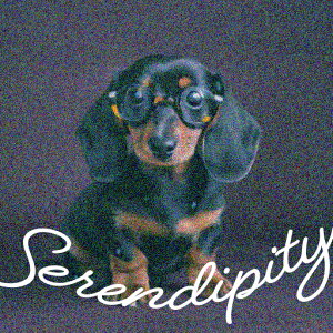 Kl _bNXth NbVJo[ 45×45cm Aj}   NbV{̕t ` t@