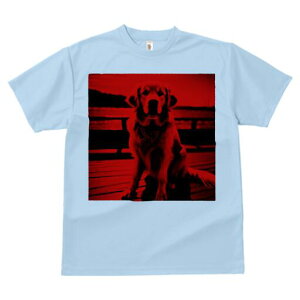 S[fgo[ TVc fB[X t@  t  vg JWA 킢 lԗp h ̃fUC ʔ S[fgo[