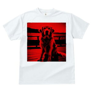 S[fgo[ TVc fB[X t@  t  vg JWA 킢 lԗp h ̃fUC ʔ S[fgo[