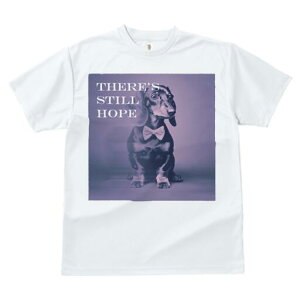 _bNXth TVc fB[X t@  t  vg JWA 킢 lԗp h ̃fUC ʔ lN^C _bNXth