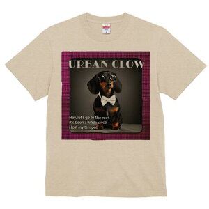 _bNXth TVc Y LbY t@  t  vg JWA 킢 lԗp h ̃fUC ʔ Kl _bNXth lN^C am Ce