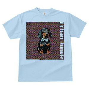 _bNXth TVc fB[X t@  t  vg JWA 킢 lԗp h ̃fUC ʔ lN^C _bNXth