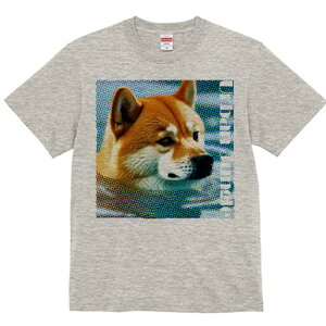 Č TVc fB[X t@  t  vg JWA 킢 lԗp h ̃fUC ʔ Č