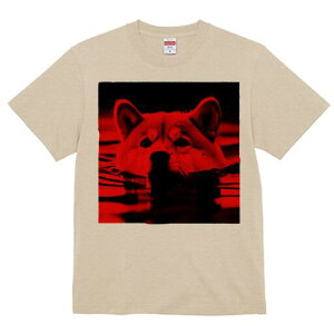 Č TVc fB[X t@  t  vg JWA 킢 lԗp h ̃fUC ʔ  Č