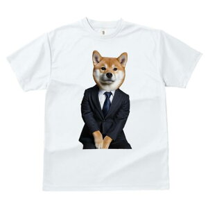 Č TVc fB[X t@  t  vg JWA 킢 lԗp h ̃fUC ʔ X[c Č rWlX