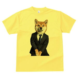 Č TVc fB[X t@  t  vg JWA 킢 lԗp h ̃fUC ʔ X[c Č rWlX