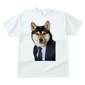 Č TVc fB[X t@  t  vg JWA 킢 lԗp h ̃fUC ʔ X[c Č lN^C rWlX