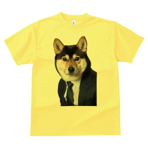 Č TVc fB[X t@  t  vg JWA 킢 lԗp h ̃fUC ʔ X[c Č lN^C rWlX