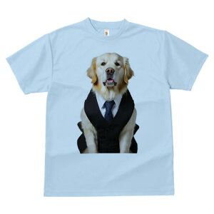 S[fgo[ TVc fB[X t@  t  vg JWA 킢 lԗp h ̃fUC ʔ X[c S[fgo[ lN^C rWlX