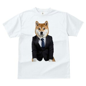 Č TVc fB[X t@  t  vg JWA 킢 lԗp h ̃fUC ʔ X[c Č lN^C