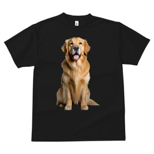 Č TVc fB[X t@  t  vg JWA 킢 lԗp h ̃fUC ʔ X[c Č lN^C