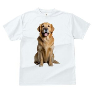 Č TVc fB[X t@  t  vg JWA 킢 lԗp h ̃fUC ʔ X[c Č lN^C