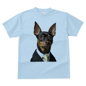 ~j`AsV[ TVc fB[X t@  t  vg JWA 킢 lԗp h ̃fUC ʔ X[c ~j`AsV[ lN^C