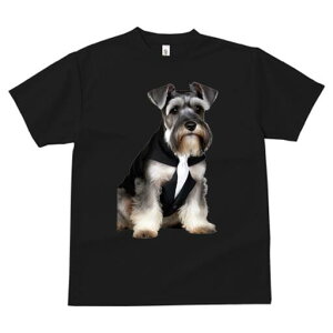 ~j`AViEU[ TVc fB[X t@  t  vg JWA 킢 lԗp h ̃fUC ʔ X[c ~j`AViEU[ lN^C