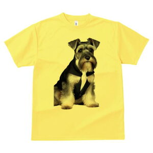 ~j`AViEU[ TVc fB[X t@  t  vg JWA 킢 lԗp h ̃fUC ʔ X[c ~j`AViEU[ lN^C