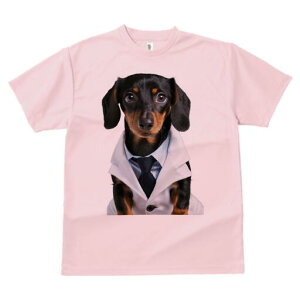 ダックスフンド Tシャツ レディース 犬ファン 半袖 春夏 犬柄 プリント カジュアル かわいい 人間用 個性派 ここだけのデザイン 面白 医者 ダックスフンド 白衣 ネクタイ ワイシャツ