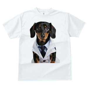 _bNXth TVc fB[X t@  t  vg JWA 킢 lԗp h ̃fUC ʔ  _bNXth  lN^C CVc