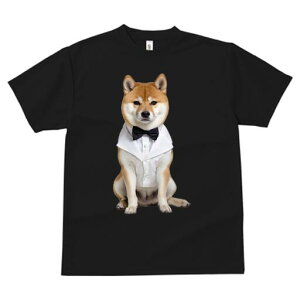 Č TVc fB[X t@  t  vg JWA 킢 lԗp h ̃fUC ʔ lN^C Č ^LV[h