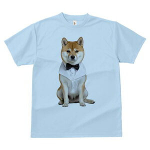 Č TVc fB[X t@  t  vg JWA 킢 lԗp h ̃fUC ʔ lN^C Č ^LV[h