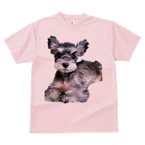 ~j`AViEU[ TVc fB[X t@  t  vg JWA 킢 lԗp h ̃fUC ʔ ~j`AViEU[