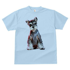 ~j`AViEU[ TVc fB[X t@  t  vg JWA 킢 lԗp h ̃fUC ʔ pn[lX ~j`AViEU[