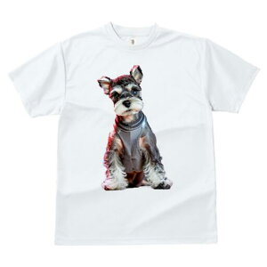 ~j`AViEU[ TVc fB[X t@  t  vg JWA 킢 lԗp h ̃fUC ʔ pn[lX ~j`AViEU[