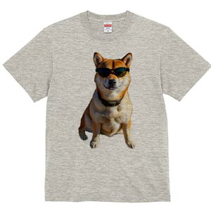 Č TVc fB[X t@  t  vg JWA 킢 lԗp h ̃fUC ʔ TOX Č