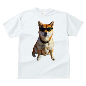 Č TVc fB[X t@  t  vg JWA 킢 lԗp h ̃fUC ʔ TOX Č