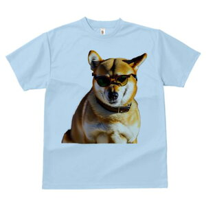 Č TVc fB[X t@  t  vg JWA 킢 lԗp h ̃fUC ʔ TOX Č 