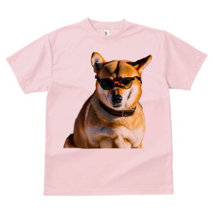 Č TVc fB[X t@  t  vg JWA 킢 lԗp h ̃fUC ʔ TOX Č 