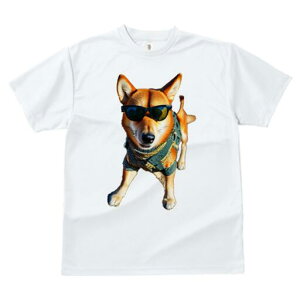 Č TVc fB[X t@  t  vg JWA 킢 lԗp h ̃fUC ʔ TOX Č Z[^[